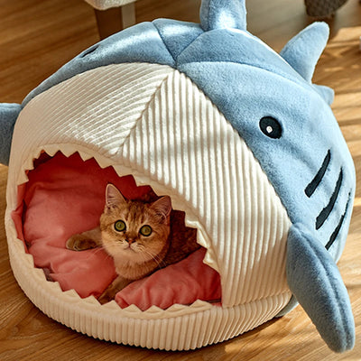 Caminha para Pets (Gatos e cães filhotes)