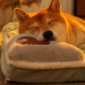Cama Ortopédica Lavável com Espuma de Memória para Pets.
