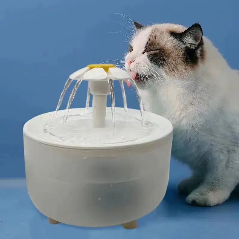 Fonte de água elétrica filtrante para gatos.