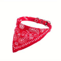 Coleira bandana para Cães e Gatos.