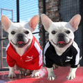 Jaqueta Beisebol para cães,