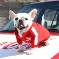 Jaqueta Beisebol para cães,