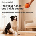 Bola ETPU Resistente para mordidas de cães (Não tóxica, para treinamento e entretenimento)