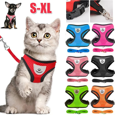 Coleira peitoral ajustável (Gatos e Cães pequeno porte)