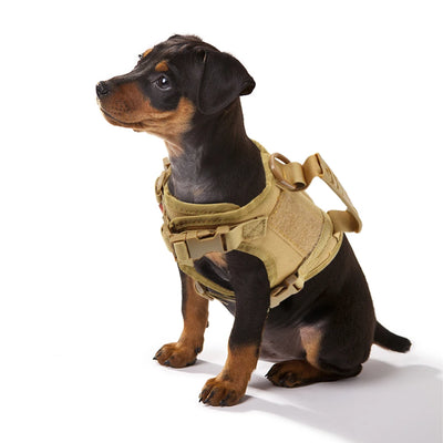 Peitoral Tático K9