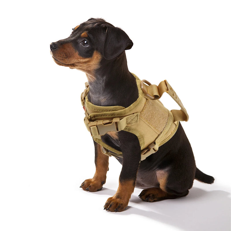 Peitoral Tático K9