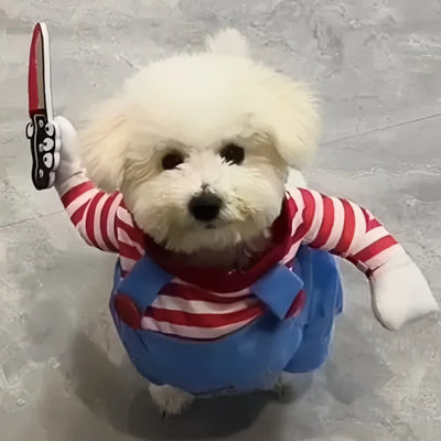 Halloween engraçado (Para cães pequeno, médio e grande porte)