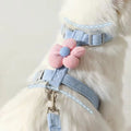 Conjunto de coleiras peitoral para gatos e cães pequenos.