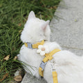 Conjunto de coleiras peitoral para gatos e cães pequenos.